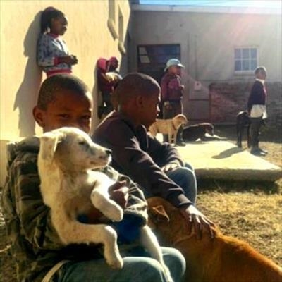 Grace for the animals of Nieu-Bethesda