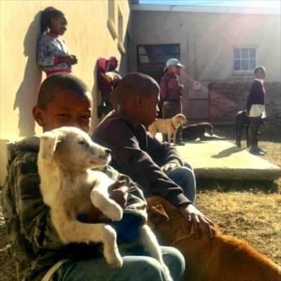 Grace for the animals of Nieu-Bethesda