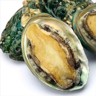 6 arrested in separate abalone busts