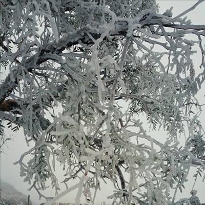 No more snow expected