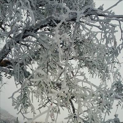 No more snow expected