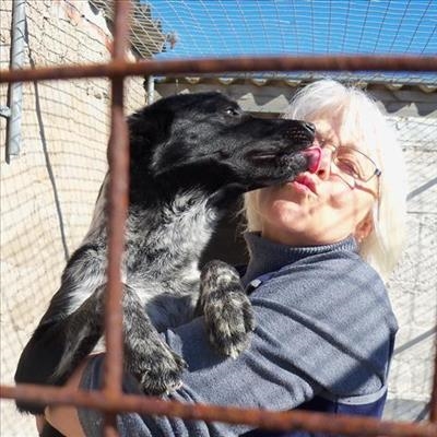Doggie bliss on Mandela Day