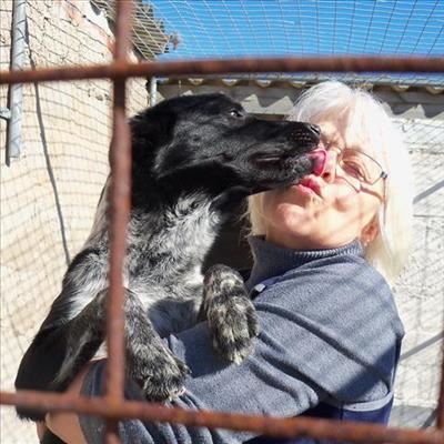 Doggie bliss on Mandela Day