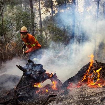 Committee to rebuild Garden Route