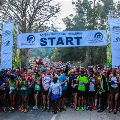 Deep in the Knysna forest they ran