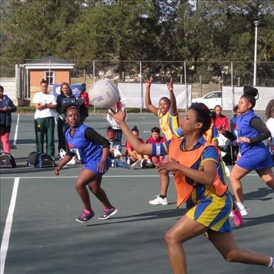 Packed courts for Netball Oyster Tournament