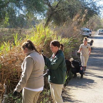 Cango Wildlife wy skoonmaak aan Madiba
