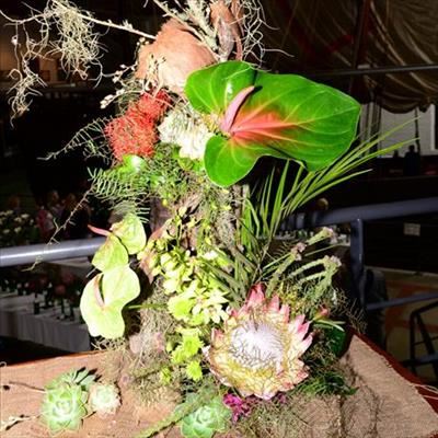 Mossel Bay Flower Show gets a new look