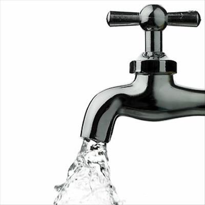 Bitou to help clean contaminated water