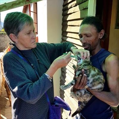 Volunteers reach out to cats