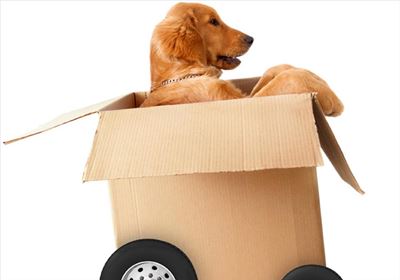 How to plan a stress-free move