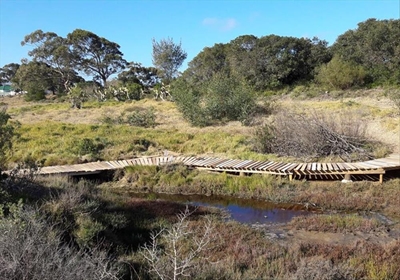 New venue for Spur Schools MTB race