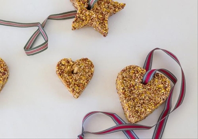 DIY birdseed ornaments