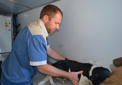 Mobiele dierekliniek vir Oudtshoorn