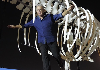 'Merry Scholar' brings whales to Sedgefield