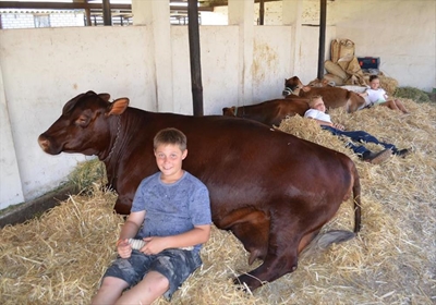Kinders kan inskryf vir jeugskou