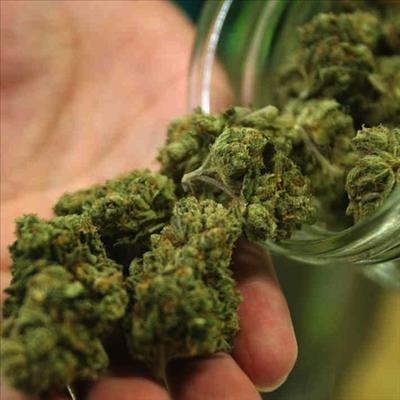 Dana Bay dagga dealer busted