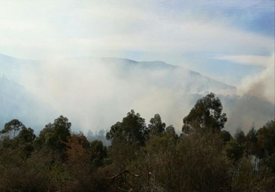 Update: Friemersheim fire