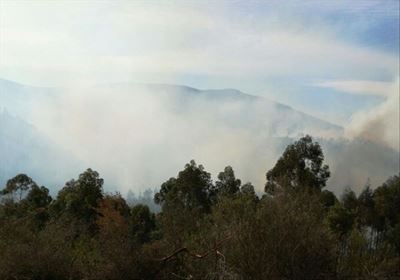 Update: Friemersheim fire