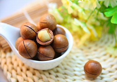 Organised macadamia theft a growing ‘business’ in SA