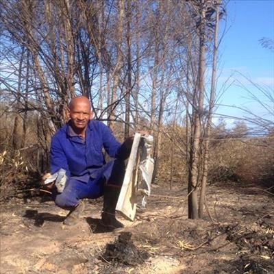 Hulp aan byeboere word streng beheer 
