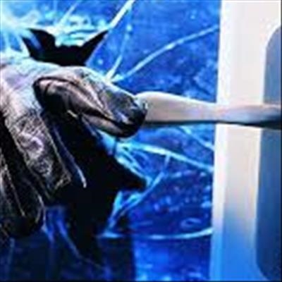 Housebreaking & theft cases investigated