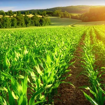 Trends in Africa affecting agriculture