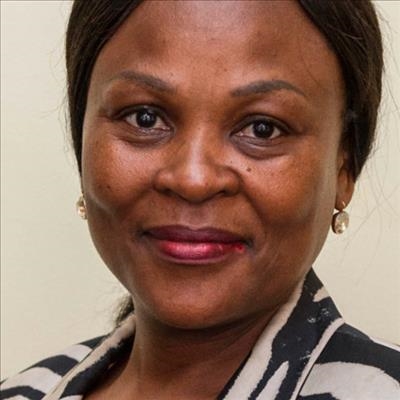 Public protector to defend proposal 