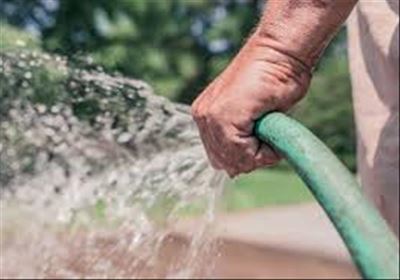 George citizens must halve water usage