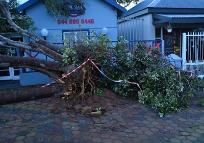 Wind saai verwoesting