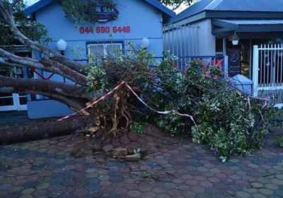 Wind saai verwoesting