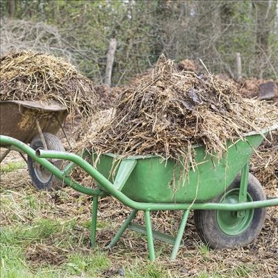 No waste disposal at Old Place