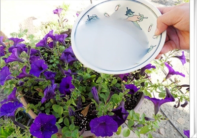 Water-wise and insurance savvy