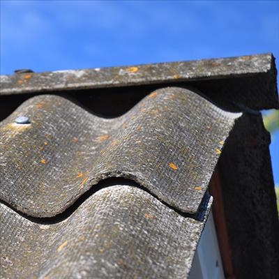 Asbestos threat gets official attention