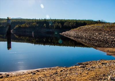 Garden Route Dam level update