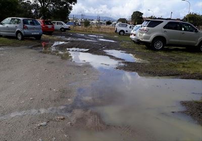 Joy over downpour in George