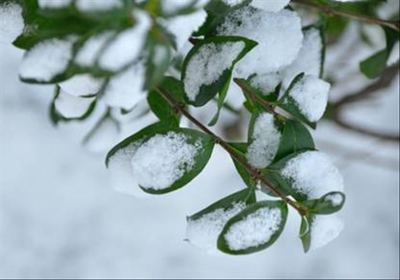 Snow covering some parts of South Africa