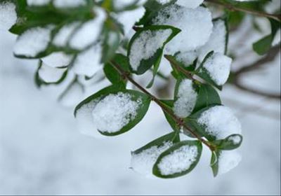Snow covering some parts of South Africa