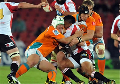 Cheetahs show South Africans do learn