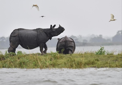 South Asia floods’ toll keeps rising