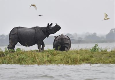 South Asia floods’ toll keeps rising
