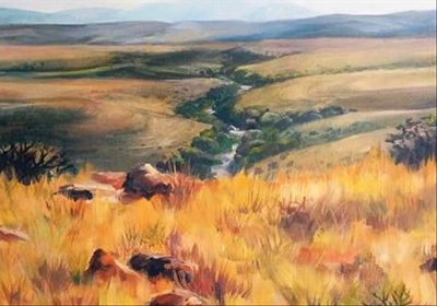 Colourful exhibition to open soon