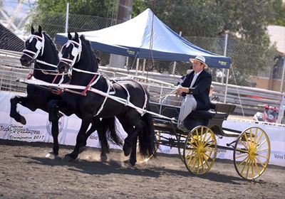 Development Sports Festival at George Show