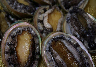 2 men arrested for abalone worth R10 million
