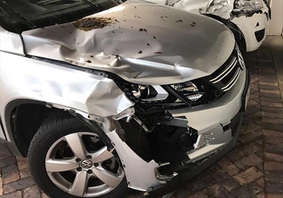 Highway cows: 5 accidents, 6 people hurt