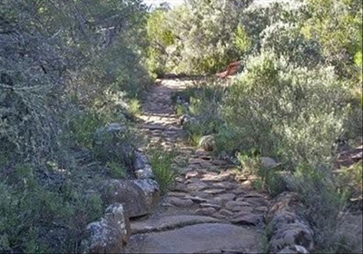 Let's go for a hike