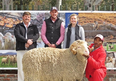 Nuwe SA rekord op Nasionale Merino Ramveiling