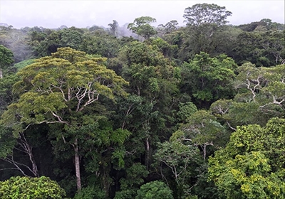 Brazil opens vast Amazon reserve to mining
