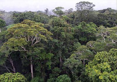 Brazil opens vast Amazon reserve to mining
