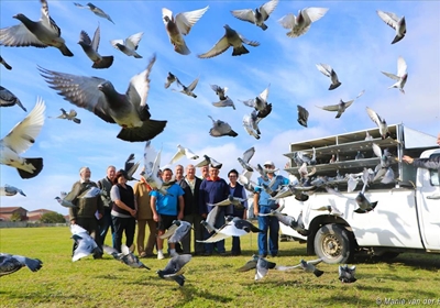 Agricultural Show kicks off 